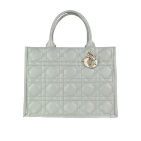 Christian Dior Book Tote Calfskin Stone Grey